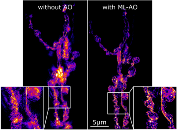 machine learning embedded adaptive optics